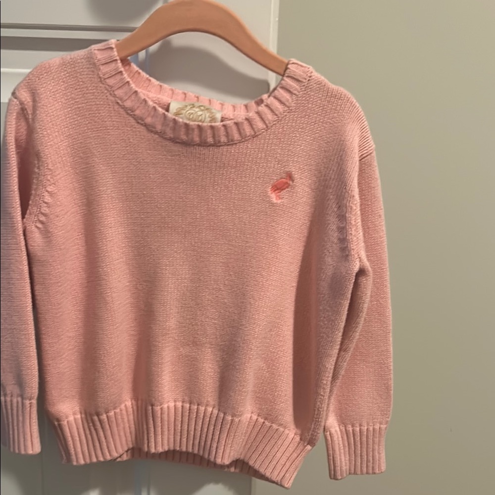 Pink Sweater